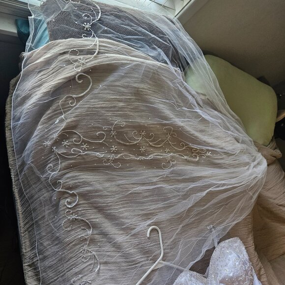 Ball Gown Style Wedding Dress - Picture 5 of 5